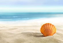 -->切尔西轻松晋级欧冠强，里昂遭遇惨败