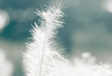 公牛主帅表态将重点培养年轻球员