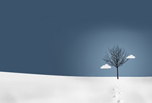 圣马力诺队在比赛中势如破竹