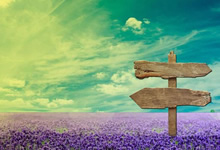 欧洲顶尖球队将在绚丽赛场上碰撞